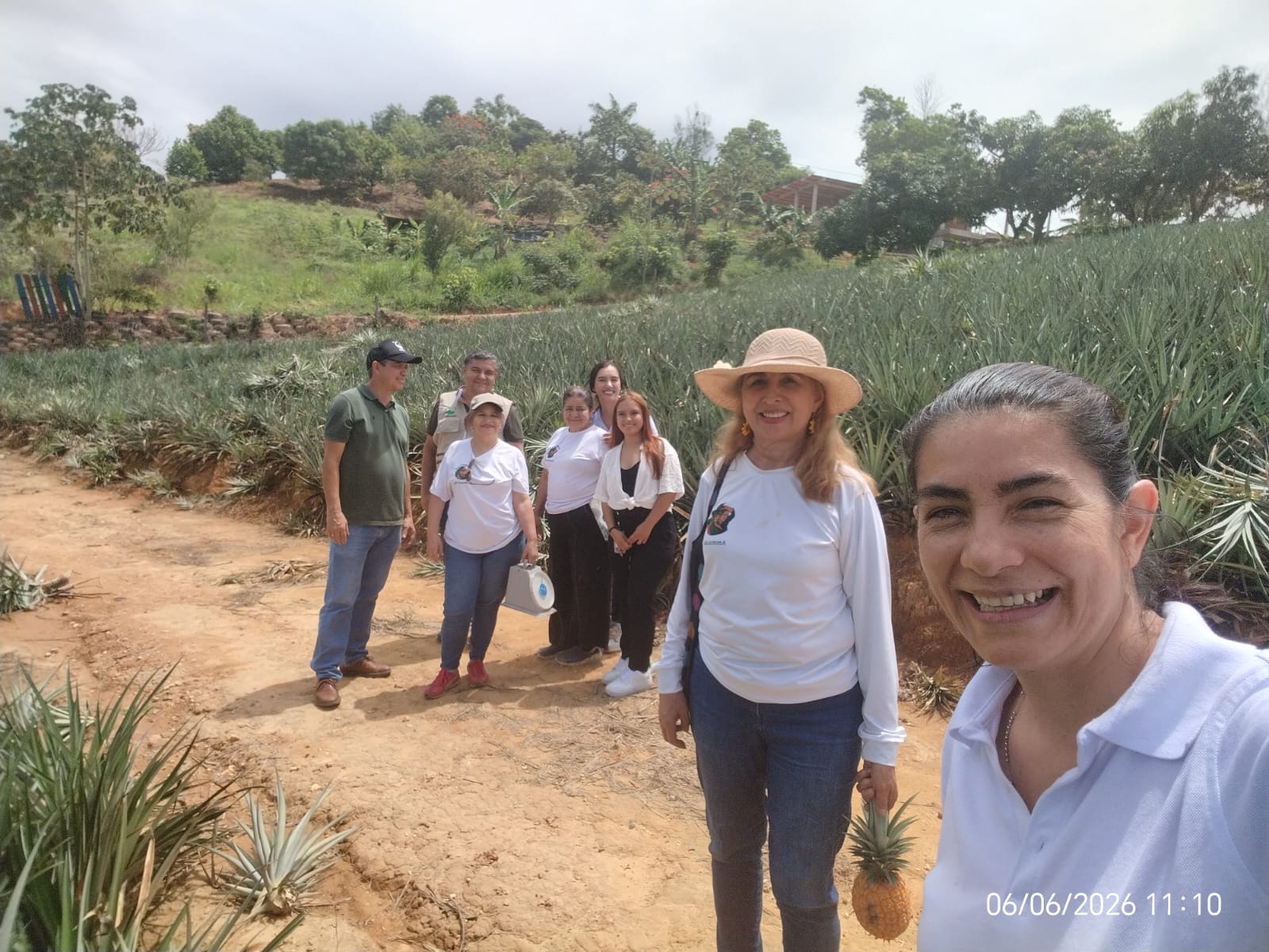 Conservación ambiental