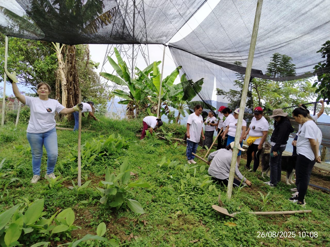 Agricultura sostenible
