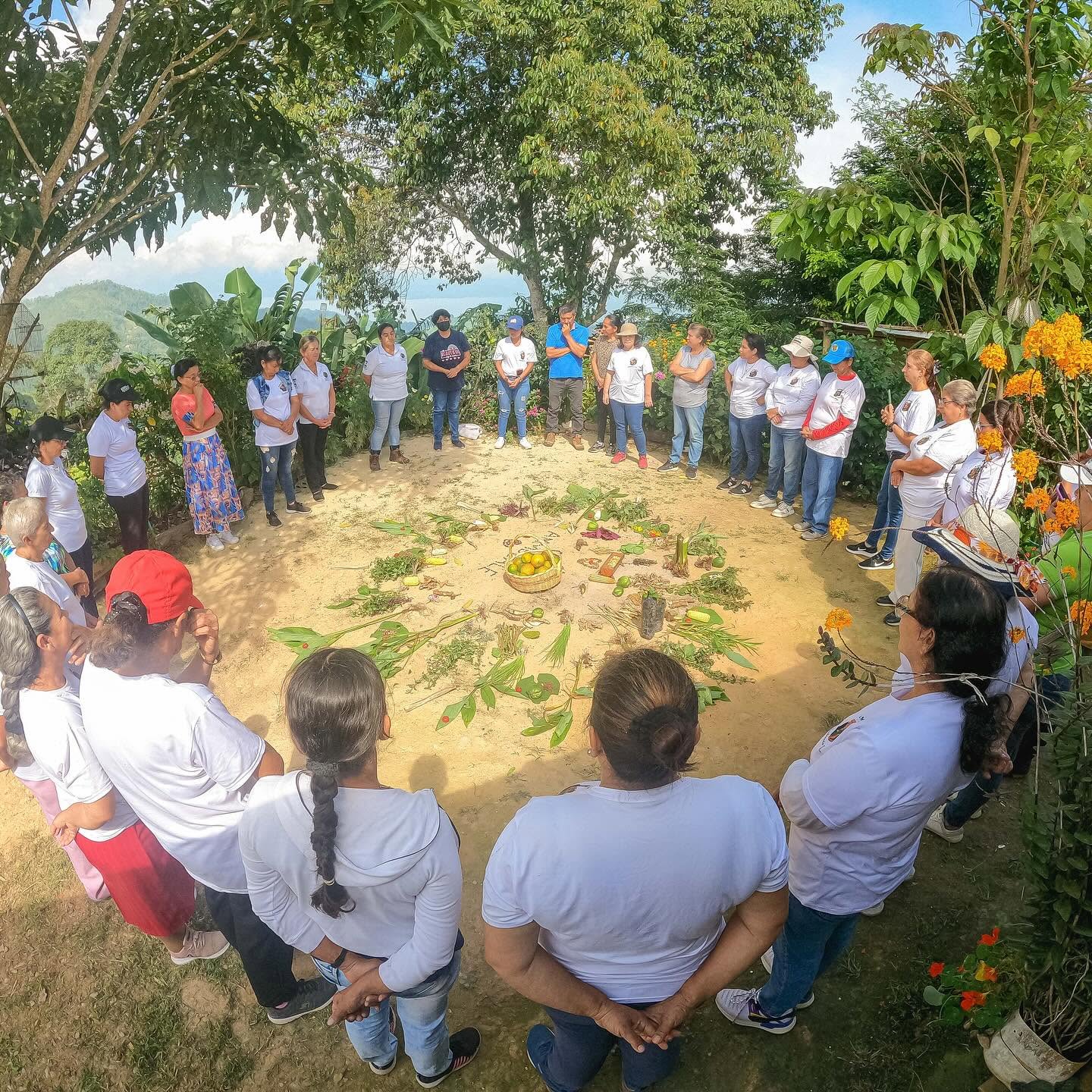 Fundación Ammucale
